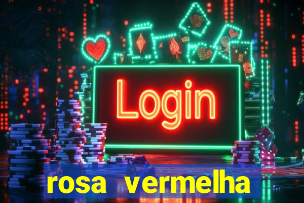 rosa vermelha (letra e cifra)